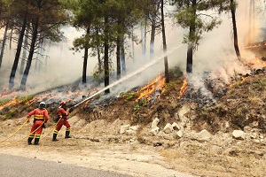 Ataque directo a las llamas con apoyo de autobomba en el incendio de  Mombeltrán