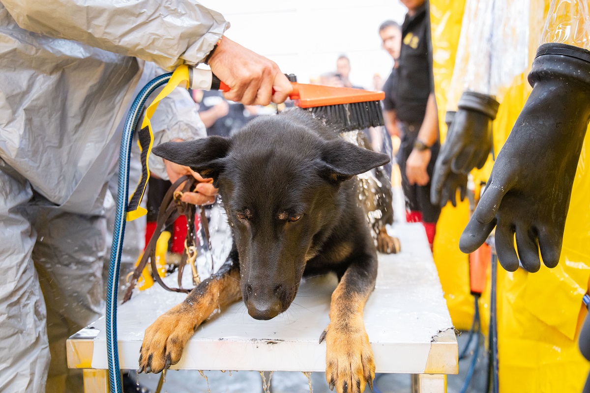 La estaci&oacute;n de descontaminaci&oacute;n est&aacute; incorporada en el marco del proyecto europeo SP ESCEU DECO PROYECT RescEU