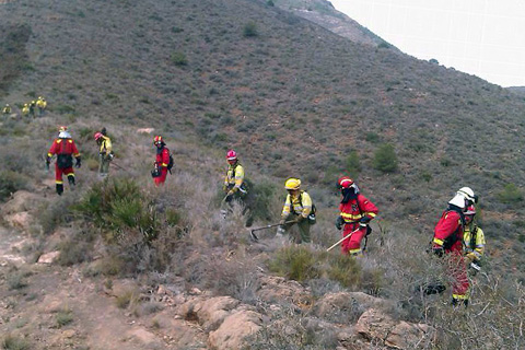 Efectivos de la Regi&oacute;n de Murcia y la UME realizan una l&iacute;nea de fuego durante el ejercicio.