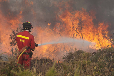 Lucha directa contra el fuego en el incendio de Sistin (Ourense)