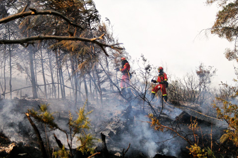 Ataque directo contra el fuego