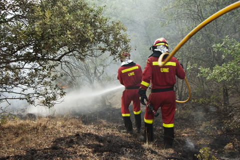 Ataque directo  y enfriamiento del terreno por parte de efectivos del primer Batall&oacute;n de la UME