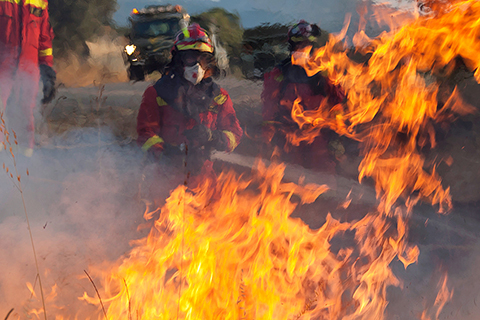 Efectivos de la UME en tareas de ataque directo al fuego