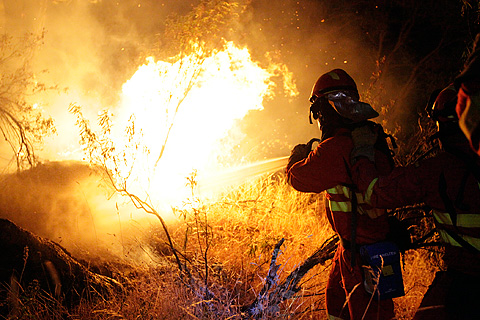 Efectivos del BIEM I realizando tareas de ataque directo al fuego.