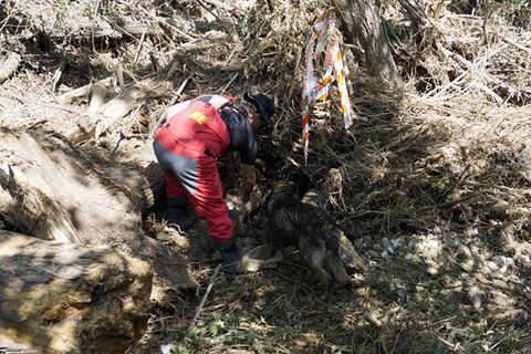 El equipo cinol&oacute;gico del BIEM III se&ntilde;ala el paraje en el que se encuentra el cuerpo.