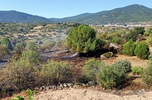 Una vez estabilizado el incendio se les encomendó las tareas de control perimetral, liquidación y refresco hasta su repliegue y fin de la intervención