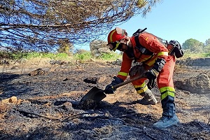 En total participaron 131 militares y 50 vehículos, pertenecientes al BIEM I, BIEM V, y BTUME