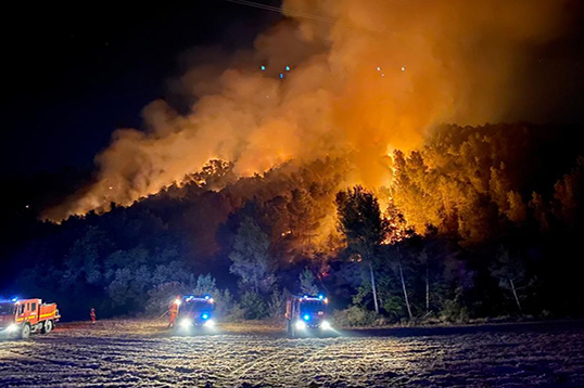 Durante la noche el equipo desplegado en la zona de emergencia ha realizado labores de vigilancia y liquidaci&oacute;n de reproducciones de cabeza flanco derecho