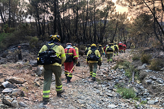 La Junta de Andaluc&iacute;a solicit&oacute; la intervenci&oacute;n de la UME despu&eacute;s de que el incendio fuera declarado de nivel 2 de acuerdo con el INFOCA.