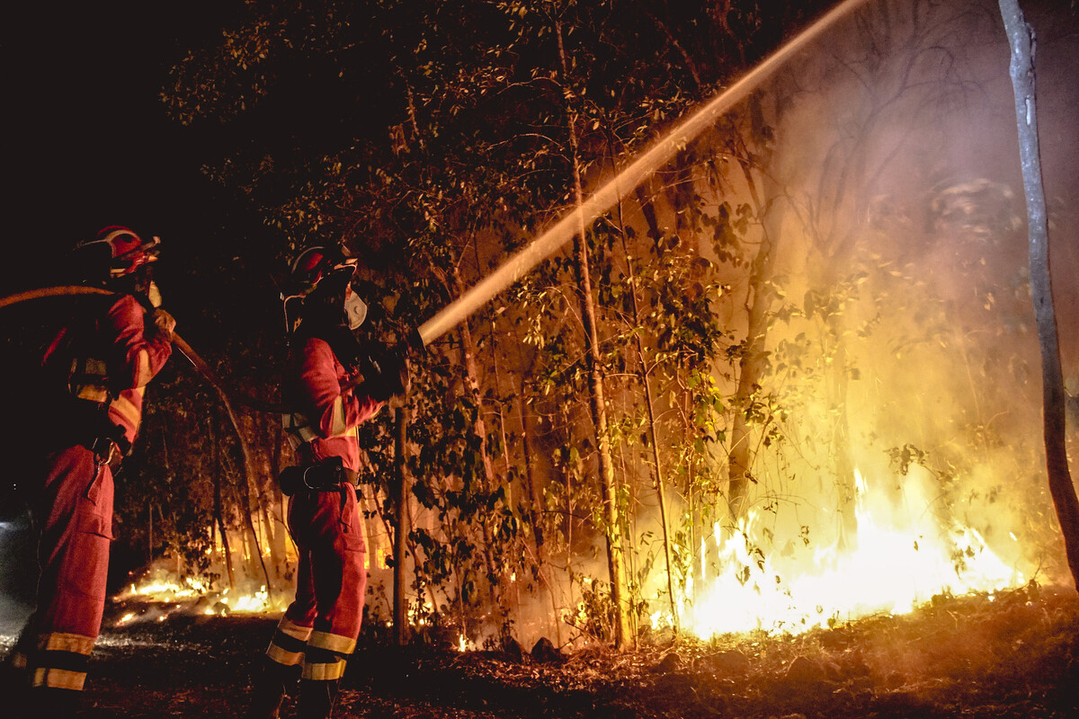 En el &aacute;rea afectada se desplegaron en primera instancia 56 efectivos y 28 unidades procedentes del destacamento de Los Rodeos, en Tenerife