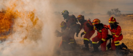 La Escuela Militar de Emergencias finaliza una nueva edición del Curso Básico con más de 400 alumnos formados