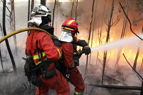 Durante esta semana la Unidad Militar de Emergencias ha colaborado en la extinci&oacute;n de 12 incendios forestales en todo el territorio espa&ntilde;ol