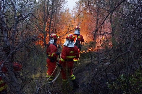 Tras la solicitud de intervenci&oacute;n la UME procedi&oacute; a desplegarse y a colaborar en la extinci&oacute;n de los incendios forestales