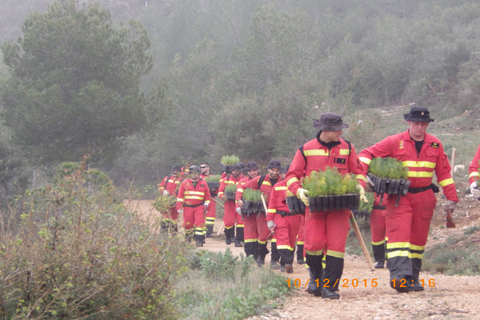 Voluntarios del BIEM III colaboran con el traslado y plantaci&oacute;n de los j&oacute;venes &aacute;rboles