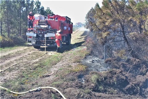 El equipo interviniente ha estado compuesto por personal del destacamento de Figueirido (Pontevedra) as&iacute; como del Batall&oacute;n