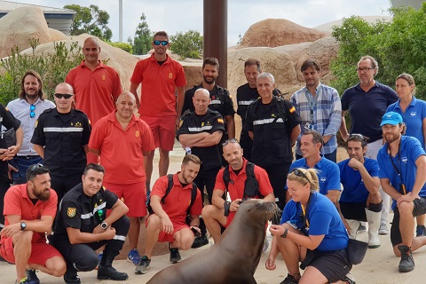 Una delegaci&oacute;n del III Batall&oacute;n de la Unidad Militar de Emergencias (UME) ha mantenido un encuentro de trabajo con los adiestradores de los leones marinos del Oceanogr&agrave;fic y responsables de su Fundaci&oacute;n