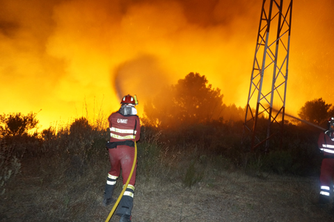 Las Fuerzas Armadas espa&ntilde;olas comprometidas con la lucha contra incendios forestales