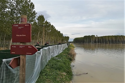 Trabajos de refuerzo de una mota con Hesco Bastion en Pina de Ebro