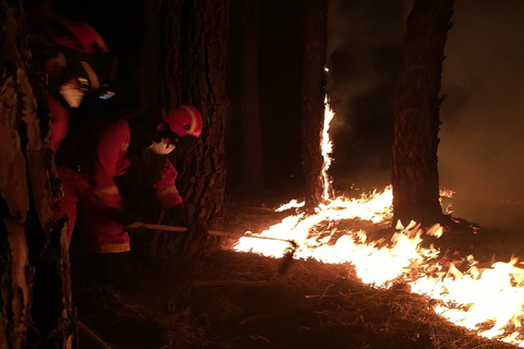 El Primer Batall&oacute;n de intervenci&oacute;n en Emergencias (BIEM 1) despleg&oacute; el pasado mi&eacute;rcoles 5 de julio a 60 de sus efectivos y 17 veh&iacute;culos en la zona para colaborar en su extinci&oacute;n.