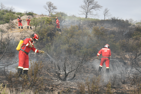 El IV Batall&oacute;n de Intervenci&oacute;n en Emergencias ha puesto en pr&aacute;ctica de diferentes procedimientos de extinci&oacute;n, log&iacute;sticos y de seguridad.