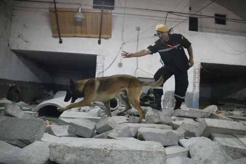 El perro demuestra unas condiciones sobresalientes para el trabajo, destacando su entereza tanto f&iacute;sica como mental, caracter&iacute;sticas fundamentales para un perro con esta especialidad