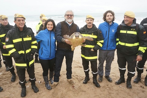 La comisi&oacute;n de la UME junto al T&eacute;cnico en Conservaci&oacute;n de Fauna Marina de la Conseller&iacute;a y personal del Oceanogr&aacute;fic de Valencia