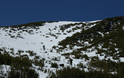 Efectivos del BIEM V durante la b&uacute;squeda en los Montes Aquilianos de Le&oacute;n.