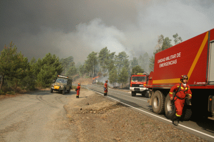 Personal y medios de la UME colaborando en tareas de extinci&oacute;n junto con los efectivos dispuestos por la Junta de Extremadura en el incendio forestal de Nu&ntilde;omoral (C&aacute;ceres).