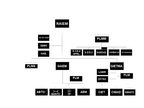 organigrama RAIEM-01