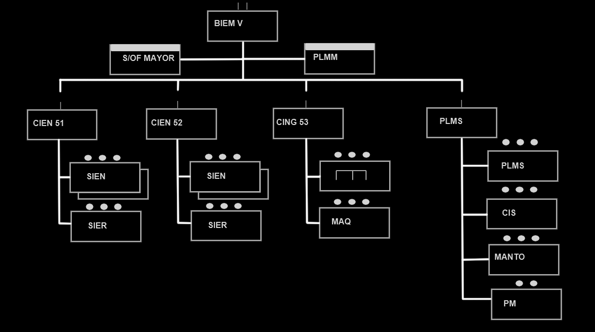 organigrama 5