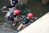 Una de las misiones de la UME es minimizar el impacto medioambiental de las catátrofes y colaborar activamente en la preservación de las especies que pudieran verse afectadas
