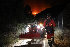 Imagen correspondiente con el Asturcón en trabajos de desbroce en el incendio en Mombeltrán