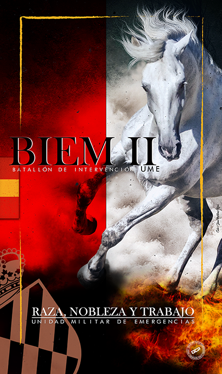 BIEM II