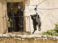 Equipo cinológico de un equipo de busqueda y rescate urbano (USAR)