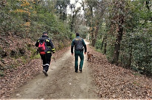La operación también incorporó vigilancia y reconocimiento en el entorno del foco para facilitar la localización de indicios relevantes en el marco de la vigilancia pasiva