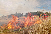 353 alumnos han recibido la formación básica de Lucha Contra Incendios Forestales,  rescate urbano, rescate vertical, inundaciones, sanidad y uso y aplicación de biocidas