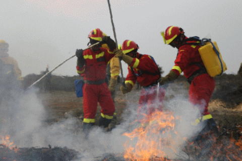 Los alumnos asistentes al CBE deben superar varios m&oacute;dulos de formaci&oacute;n en diferente tipo de emergencias.