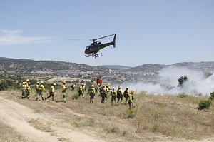 En el ejercicio participaron 160 efectivos de la Diputación Provincial de Ávila, Dirección General de Patrimonio Natural y Política Forestal y voluntarios de diferentes agrupaciones de varios municipios de la provincia de Ávila.