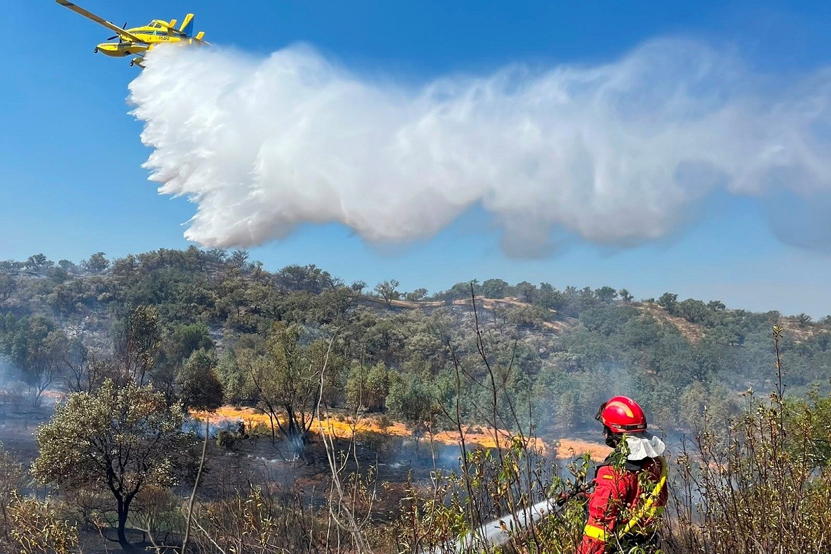 La UME reforz&oacute; su dispositivo de forma escalonada hasta desplegar 255 militares y 90 medios t&eacute;cnicos