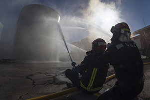 Ejercicio Gamma "Daimiel 15"