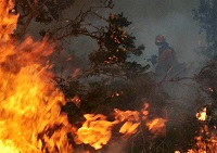 En el incendio forestal de Nieva, los efectivos de la UME tuvieron como misión el ataque directo con autobomba en flanco derecho e izquierdo, de cabeza a cola del incendio