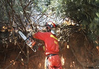 Mediante el empleo de motosierras y otras herramientas manuales, nos hemos enfrentado al fuego quitándole combustible