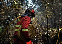 Las acciones realizadas por la UME han sido ataque directo, liquidación mediante tendido y elaboración de una línea de defensa con herramienta manual, entre otras
