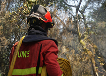 Lla actual campaña de lucha contra este tipo de emergencias se ha convertido en la más complicada desde la creación de la Unidad en 2005