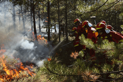 Personal de los BIEM,s III y IV en el incendio forestal de Aliaga (Teruel)