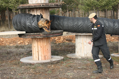 La pista consta de cuatro espacios diferenciados que ocupan una superficie de 6.500 metros cuadrados.