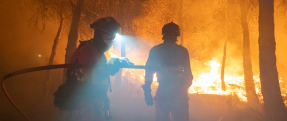 Los batallones de la UME culminan su preparación para la campaña de lucha contra incendios forestales