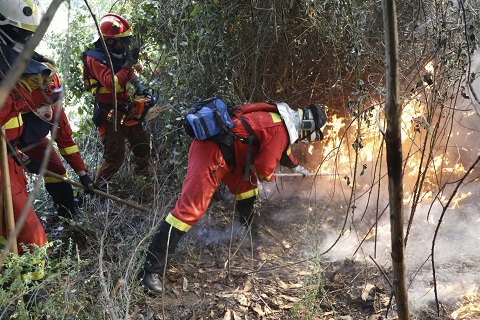 El personal de la Sección 111 del BIEM I no dudan en adentrarse entre la densa vegetación para combatir un nuevo foco al momento de detectarlo