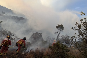 El BIEM III, con base en Valencia, movilizó más de 120 efectivos, junto a vehículos especializados, sistemas aéreos no tripulados y helicópteros HU-27