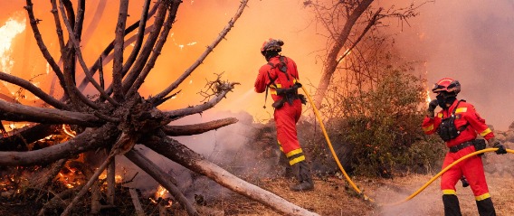 La Unidad Militar de Emergencias cierra 2025 con récord de intervenciones